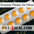 Grosses Pilules De Pénis levitra1